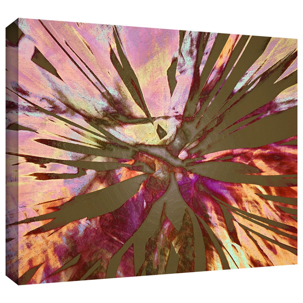 Dean Uhlinger "Abini Succulent" Gallery-Wrapped Canvas