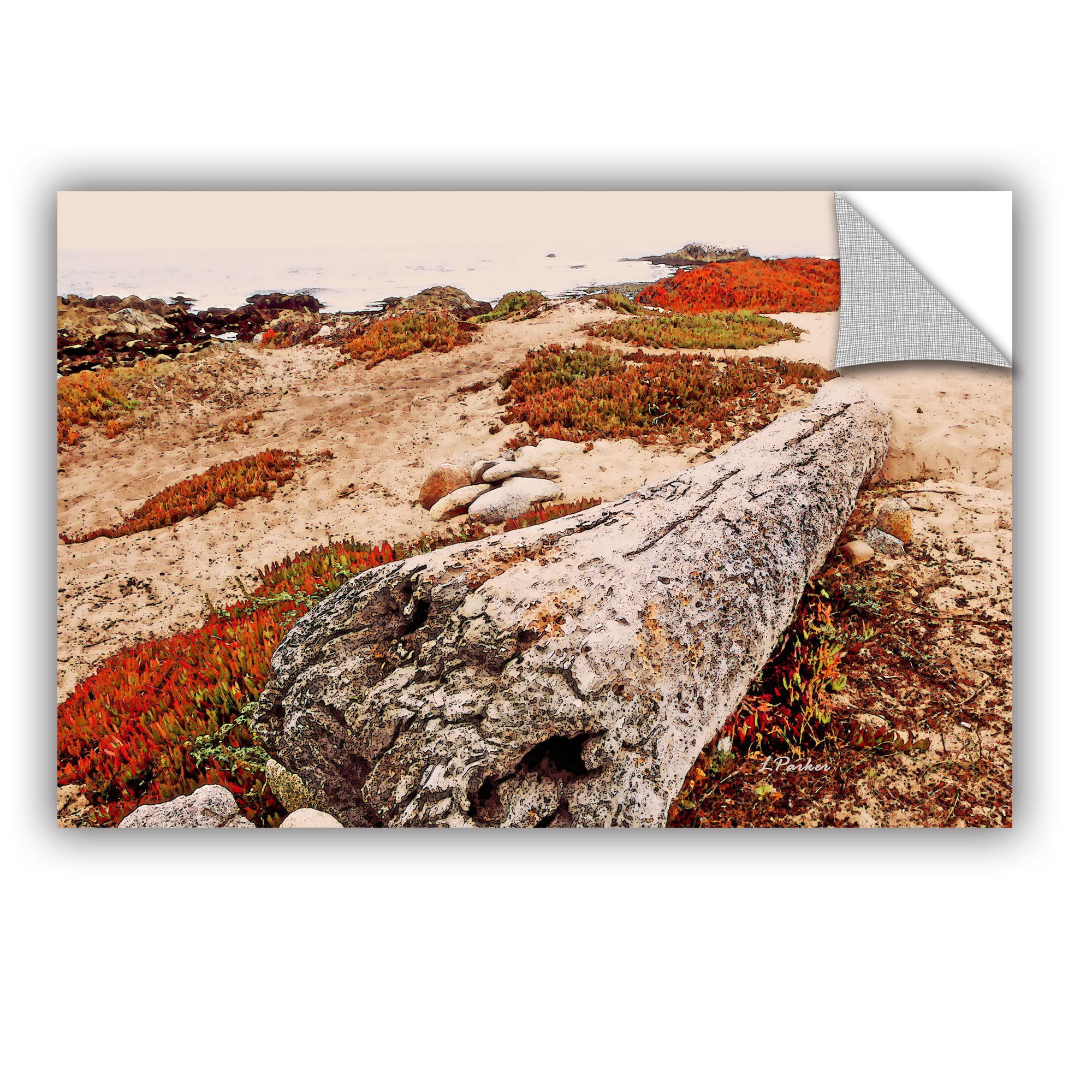ArtAppealz Linda Parker "Log On Pebble Beach" Removable Wall Art