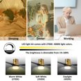 thumbnail image 4 of Pollux 52-inch Indoor Smart Ceiling Fan, Dimmable LED Light Kit & Remote Works with Alexa/Google Home/Siri Black, 4 of 5
