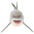 thumbnail image 4 of YLSHRF Sharks Model, Simulation Educational Model, For Children Educational, 4 of 8