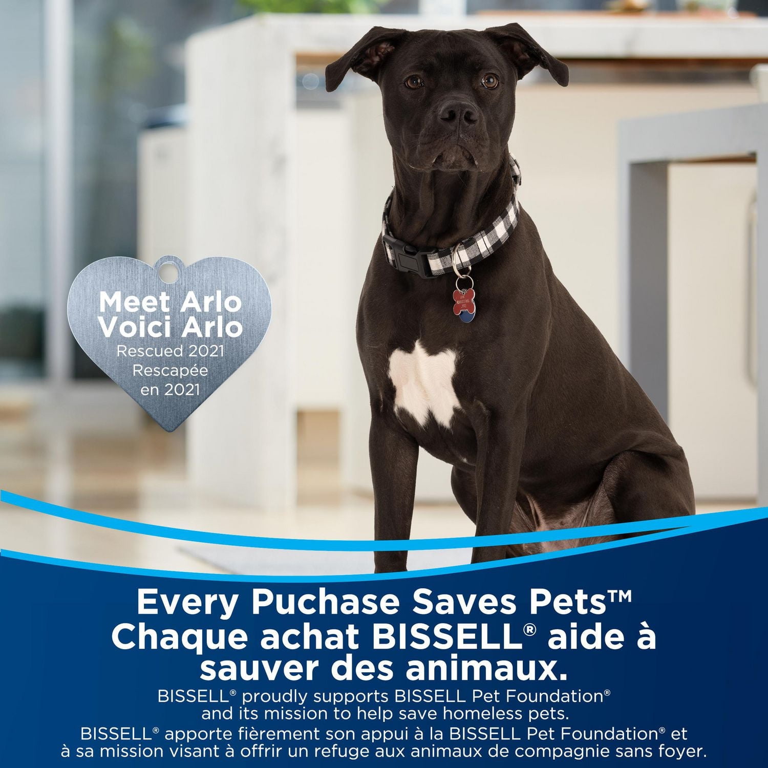 BISSELL® Little Green® Spot & Stain, Instant stain removal