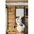 thumbnail image 4 of ChickenGuard Premium Automatic Chicken Coop Door Opener, 4 of 16