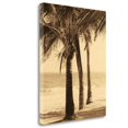 thumbnail image 2 of Tangletown Fine Art 'Palm Beach II' Photographic Print on Wrapped Canvas, 2 of 2