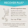 thumbnail image 3 of Suplemento de agua FlockLeader Recover Plus para pollos 240 ml, 3 of 6