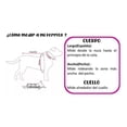 thumbnail image 2 of Guantes de juego para controlador de juegos móvil, material de fibra nano-plata con dedo táctil, guantes de pantalla táctil sin costuras, transpirables y antisudor de alta sensibilidad para juegos de, 2 of 3