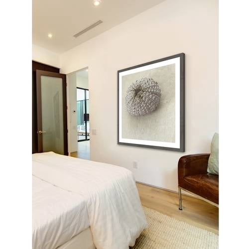 "White Urchin Shell" Framed Painting Print