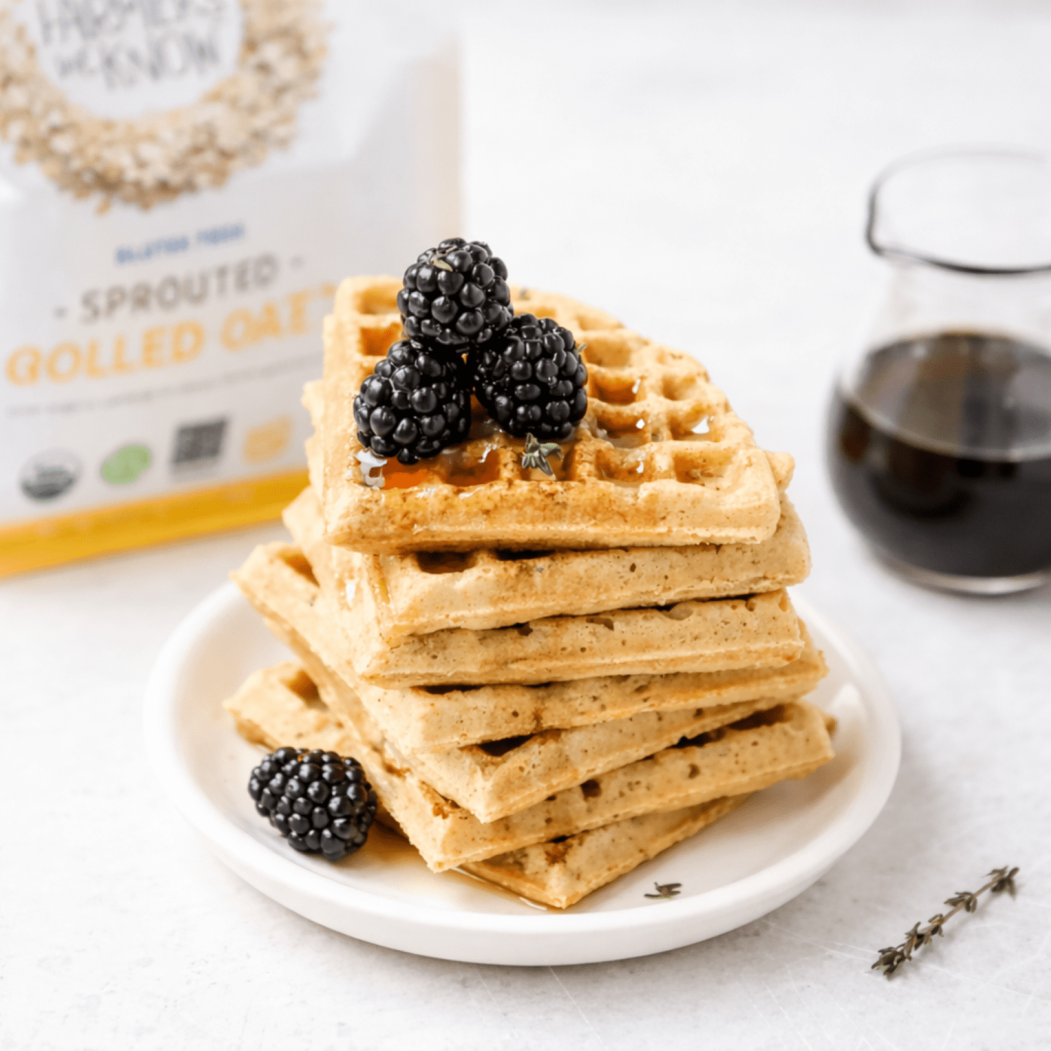 One Degree Organic Foods Gluten Free Sprouted Rolled Oats, 24 oz