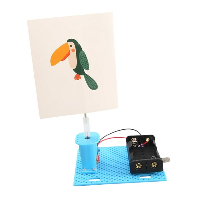 Jaula eléctrica para experimentos de ciencia, juego de pájaros, juguete educativo, modelo ensamblado para dormitorio, suministros para el hogar,
