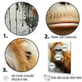 thumbnail image 3 of Designart "Orangutan In The Brown Rainforest" Orangutan Floater Framed Wall Art Living Room, 3 of 5