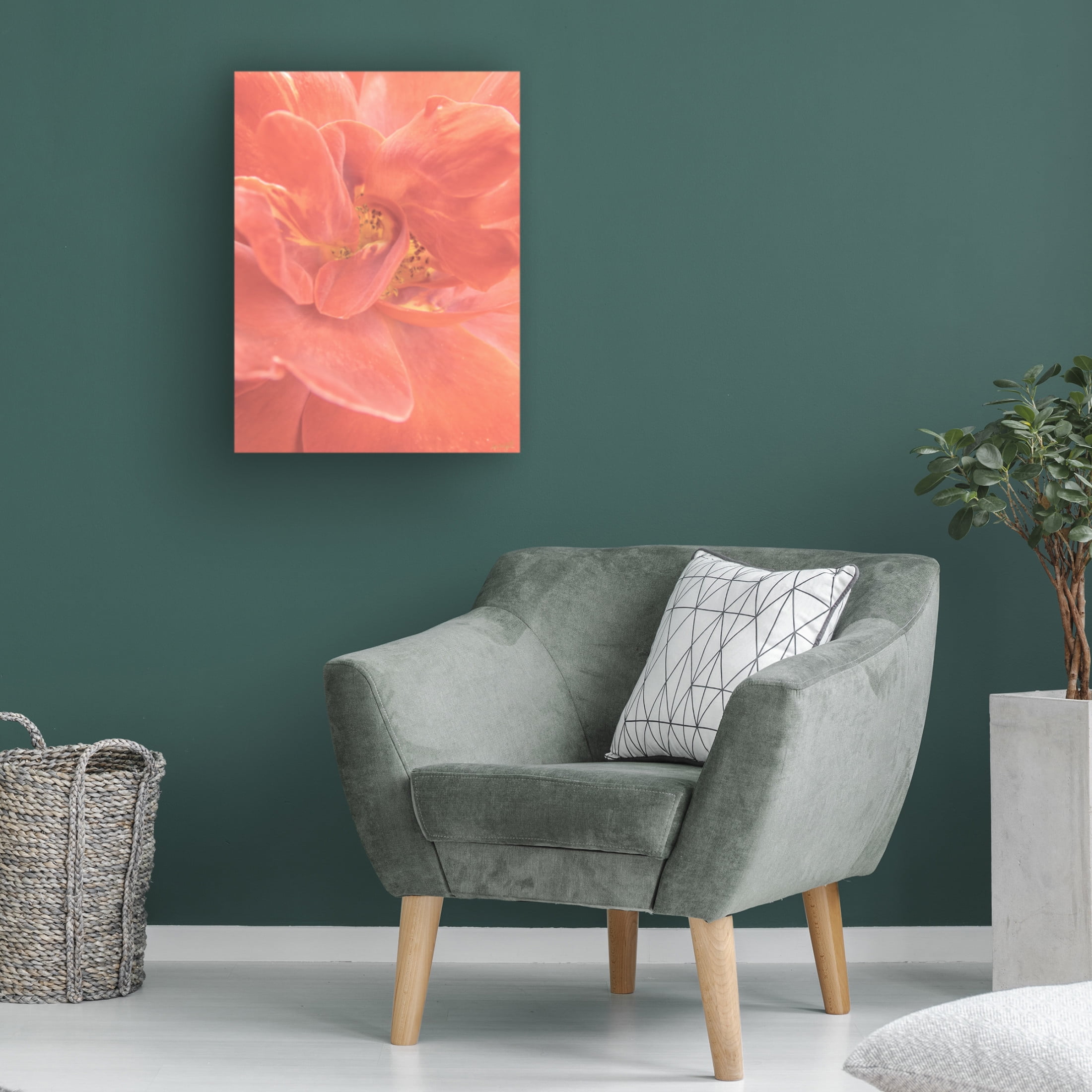 Canvas Wall Art - Life BeautifuLEE 'Soft and Wild 2' Wall Art for Living Room, Bedroom, or Office Décor by Trademark Fine Art - 24 x 32 Inches