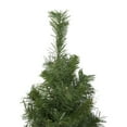 thumbnail image 3 of Northlight 3' Medium Black River Pine Artificial Christmas Tree - Unlit, 3 of 5
