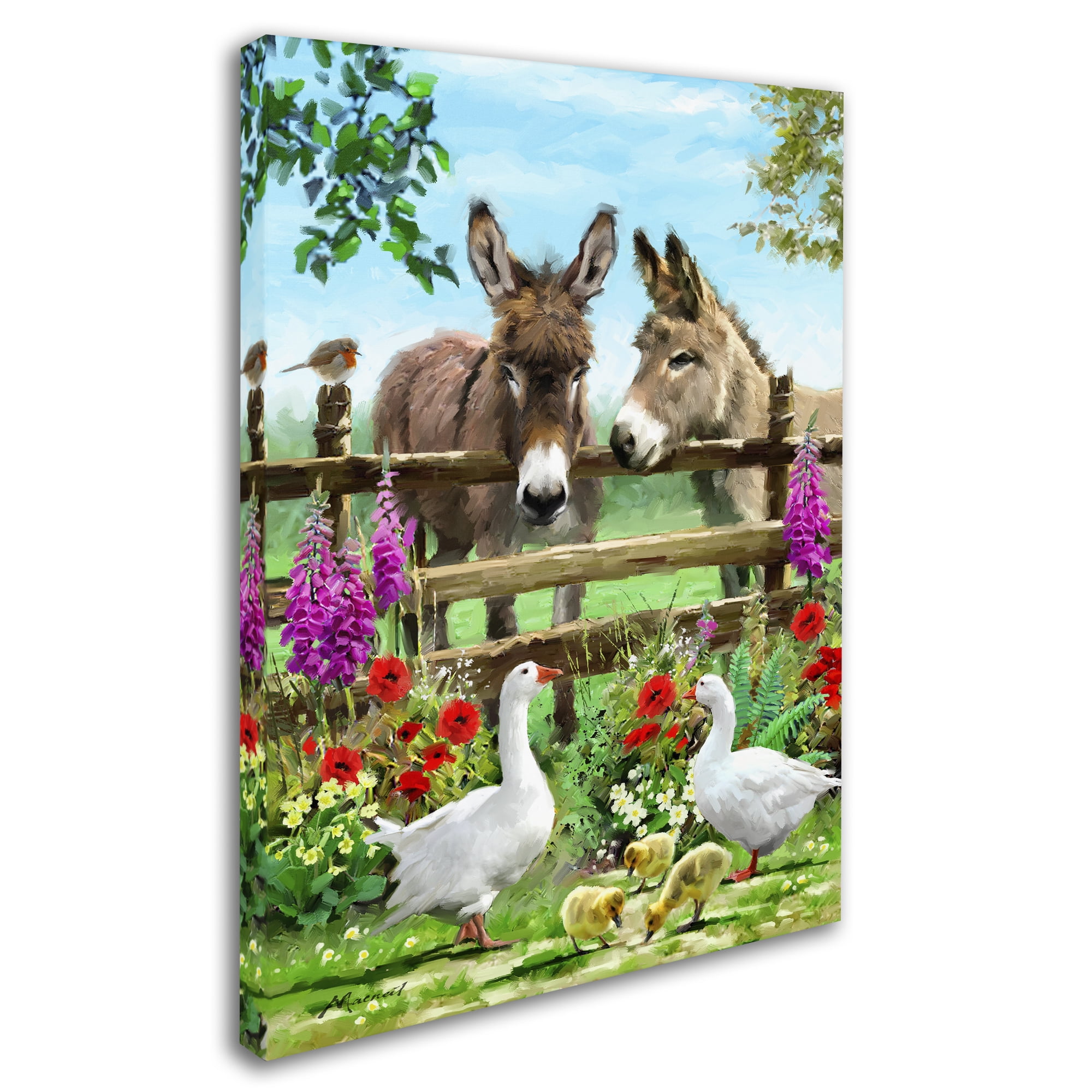 Trademark Fine Art 'Donkeys I' Canvas Art by The Macneil Studio
