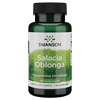 Swanson Salacia Oblonga 20:1 Extract 500 mg 60 Capsules
