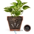 thumbnail image 2 of SPRING 100 Pcs Bonsai Pot Hole Mesh Pads For Effective Soil And Water Management, 2 of 9