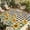 Yellow Green Black, variant on Yellow Sunflower Outdoor Rug for Patio/Deck/Porch, Non-Slip Large Area Rug 3 x 5 Ft, Grey Plaid Country Bee Farmhouse Floral Indoor Outdoor Rugs Washable Area Rugs, Camping Rug Carpet Runner