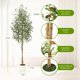 thumbnail image 3 of Qinaqin 5FT/6FT/7FT Fake Oliva Tree con Realistic Fau x Silk Leaves Blanco Planter Pot Natural Madera Trunk, 3 of 5