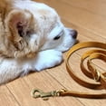 thumbnail image 6 of Genuine Leather Dog Leash - Soft Touch Rustic Leather, Vintage Retro Style, Soft Handle and Secure Grip - Dog Leash for Small Dogs, Dog Training Leash for Walking, 6 of 6