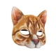 thumbnail image 2 of Máscara de cosplay de Halloween Máscara de cara de gato Tocado de animal Máscara de cabeza de animal Accesorios para fotos Accesorio de disfraz de, 2 of 9