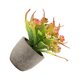 thumbnail image 1 of Bearachild Decoración artificial elegante de la planta en conserva fácil limpiar el árbol artificial del dinero en pote respetuoso del medio Decoración Rosa roja, 1 of 6