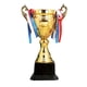 thumbnail image 1 of Premio Trofeo Premios Trofeo Copa Premio Regalos de agradecimiento para evento Competencia 34cm, 1 of 9
