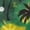 Jamaica Flag Palm Tree, variant on Jiueut Jamaica Flag Palm Tree Pattern Matchable Couple Hawaiian Men Button Down Aloha Shirt Womens Summer Dresses Sleeveless Tank Dress Casual Holiday Matching Outfit for Men Women, XS