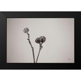thumbnail image 2 of Larson, Nathan 18x13 Black Modern Framed Museum Art Print Titled - Daylily Pod Study, 2 of 5