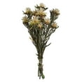 thumbnail image 1 of Vickerman H1PMF000 Faisceau de Plumosum Naturel de 8-20 Po - Conservé 8 Têtes, 1 of 1