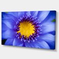 thumbnail image 2 of Blue Lotus Close up Watercolor - Flowers Canvas Wall Artwork, 2 of 3