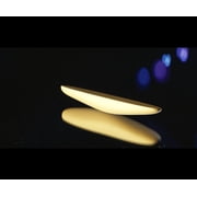 Magic Makers Gold Rattleback