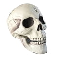 thumbnail image 6 of Hevirgo Creepy Plastic Open Mouth Skull Skeleton Haunted House Decor Halloween Prop, 6 of 7