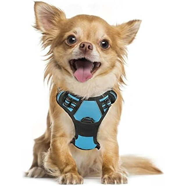 rabbitgoo No-Pull Pet Harness with 2 Leash Clips Adjustable Soft Padded Reflective No-Choke Pet Oxford Vest with Easy Control Handle for Large Dogs Pink L
