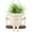 White, variant on Swing Planter Pot Hanging Face Planter with Drainage Hole, Resin Smile Face Flower Pots for Indoor Outdoor String of Pearls, 5.3 Inch