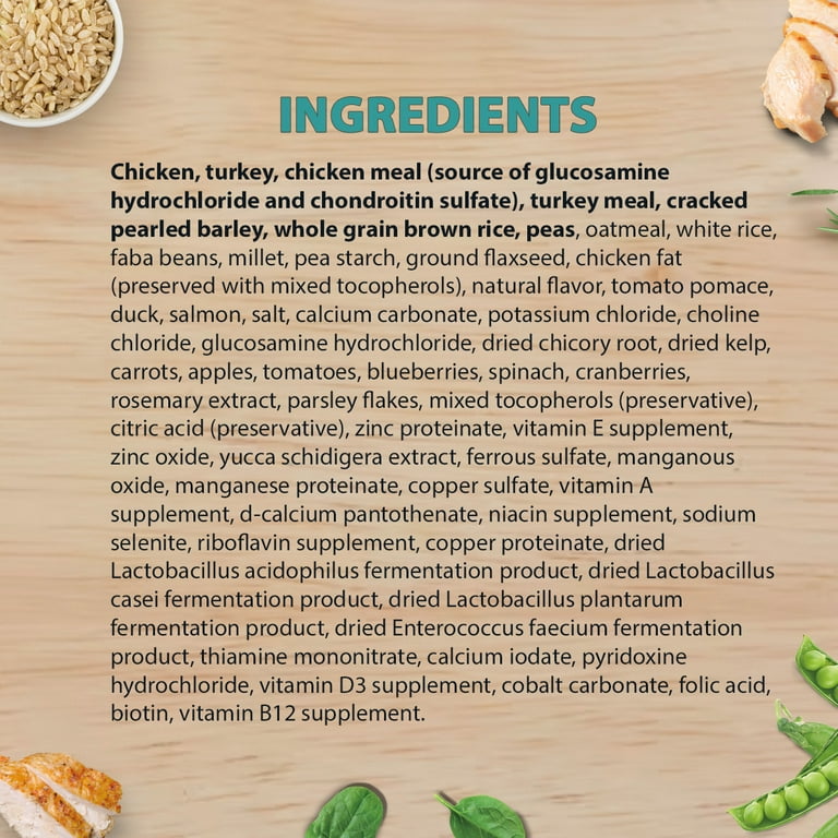 Chicken soup large breed cheap