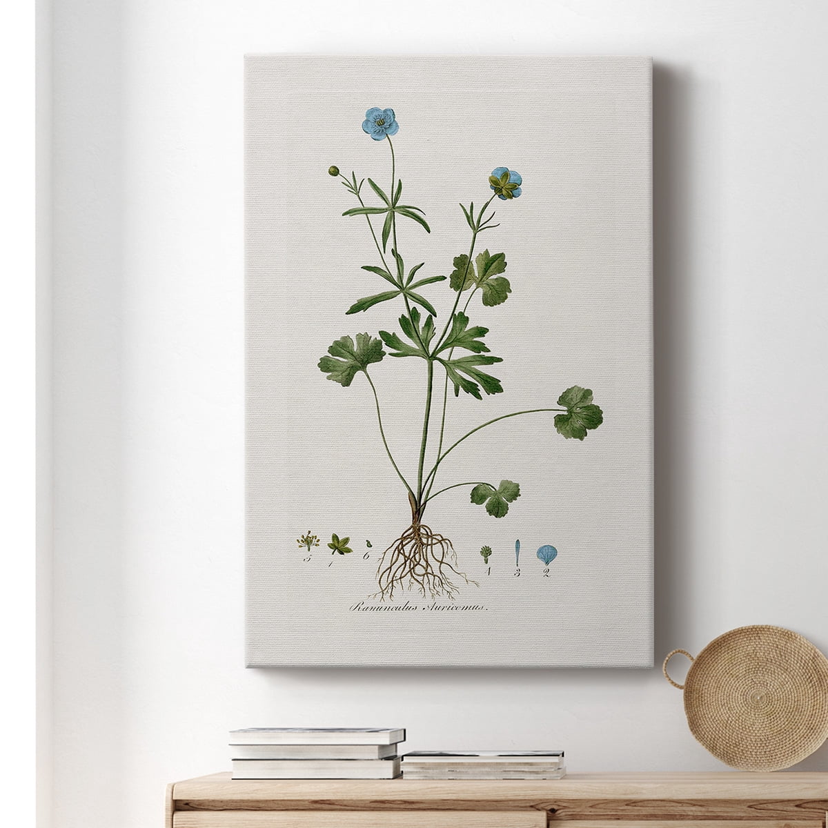 Buttercup Study Premium Gallery Wrapped Canvas - Ready to Hang