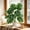 Green A, variant on Floleo Artificial Monstera Bonsai Plant 17.7 Inch, Fake Monstera Deliciosa Plant in Pot, Adjustable Leaves Indoor Desktop Decor for Home Office, No Maintenance Decorative Greenleaf