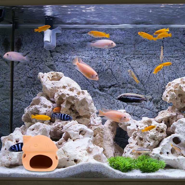 10 Pcs Shrimp Nest Shrimp Cans Reptile Fish Aquarium Accessories Fish Tank  Accessories 