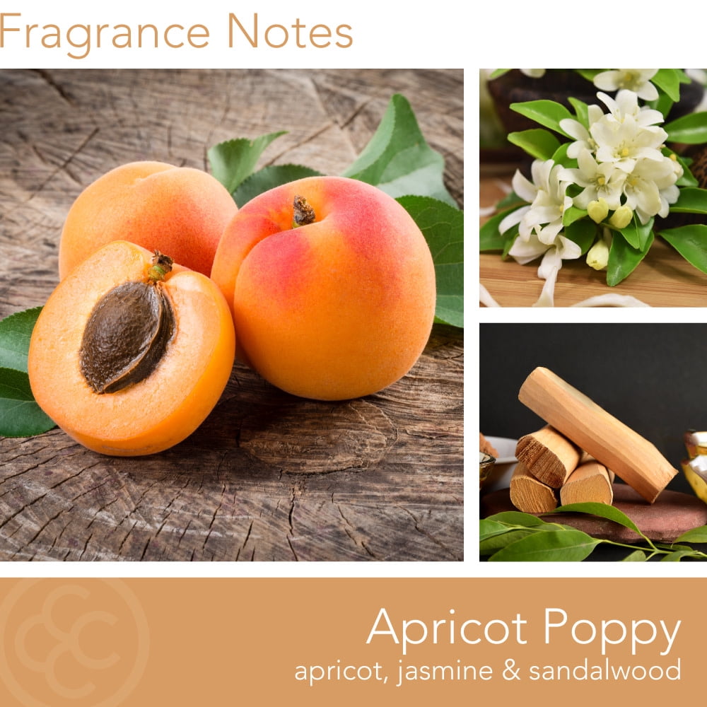 Colonial Candle Apricot Poppy Scented Jar Candle, 3 Wick, Yellow, 14.5 oz - Up to 60 Hours Burn
