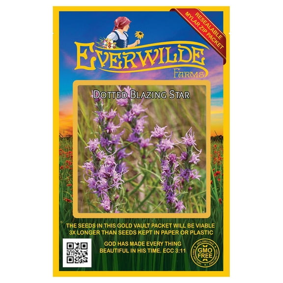 Everwilde Farms - 100 Dotted Blazing Star Native Wildflower Seeds - Gold Vault Seed Packet