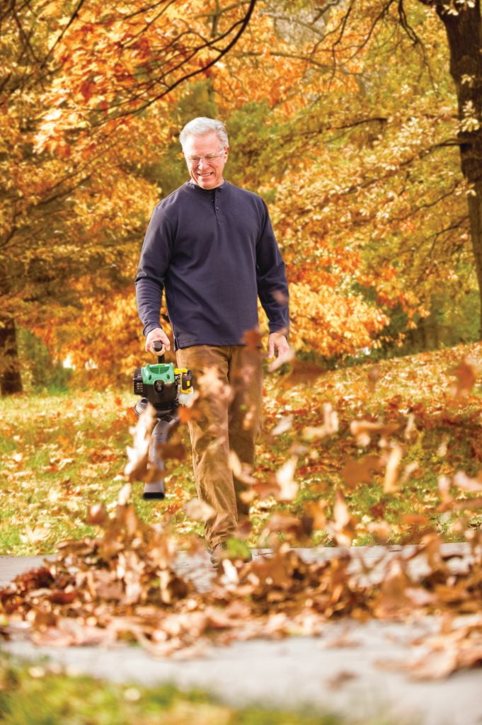 walmart weed eater and blower