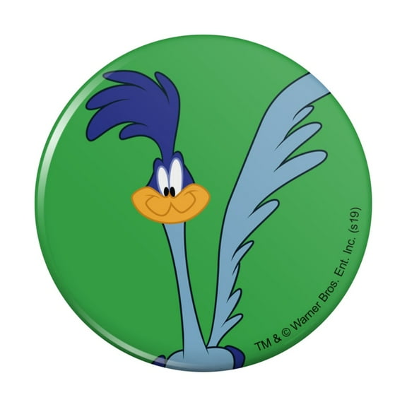 Looney Tunes Road Runner Pinback Button Pin