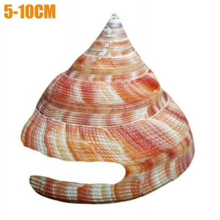 

GEKUPEM Rare Natural Pearly Screw Conch Shell Coral Sea Collectible a Snail US0 R2Z9