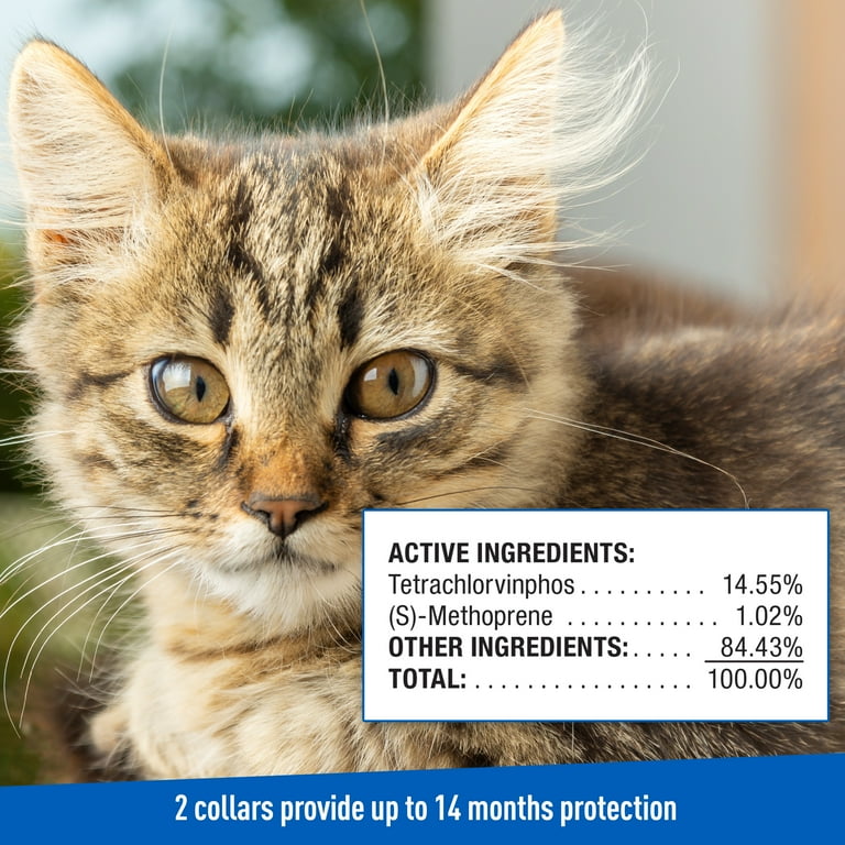 Flea collar cheap walmart cat