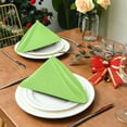 thumbnail image 3 of Iauyy Satin Napkins Set of 1- Green DIY Printing Decoration Cloth Napkin- Easy Care for Home/Party, 3 of 8