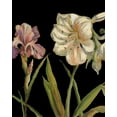 thumbnail image 2 of Pinto, Patricia 20x24 Gold Ornate Wood Framed with Double Matting Museum Art Print Titled - The Garden At Night I, 2 of 4
