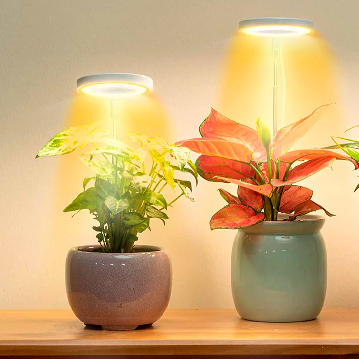 iMountek Plant Grow Light for Indoor Plant Bamboo Mini LED Grow Light