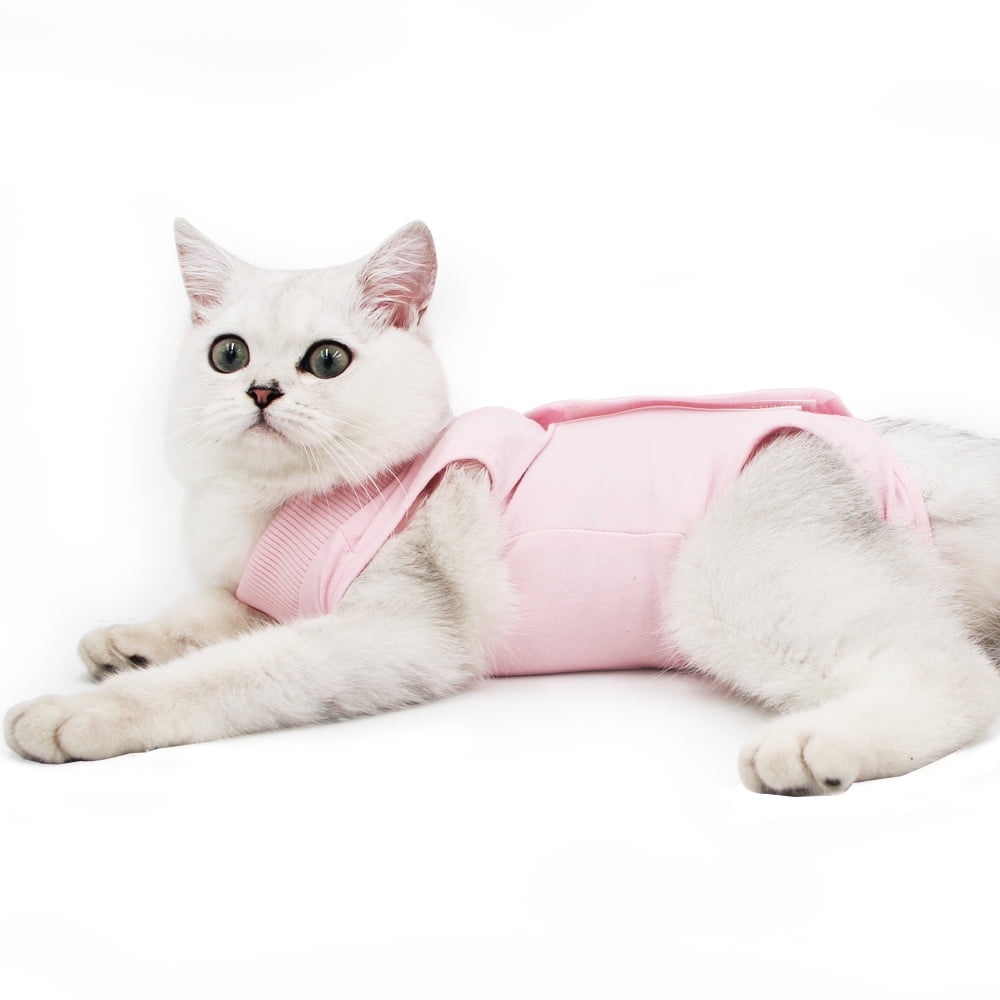 Dotoner Cat Recovery Suit for Abdominal Wounds or Skin Diseases, after