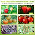 thumbnail image 4 of Grow Light Plant Light Indoor Plants Full Spectrum Clip Plant Growing Lamp Level Dimmable Auto On Off Timing Hrs ( ), 4 of 7
