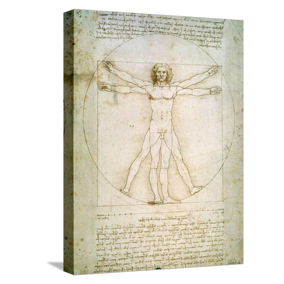 Art.com Vitruvian Man, c.1492 Stretched Canvas Print Wall Art by Leonardo da Vinci, 12" x 16"