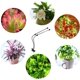 thumbnail image 5 of 84 Lámpara Led Cultivo Espectro Completo con Clip Para Plantas Interior 6000K,Led 74 Blancos y 10 Rojos,Regulable En 5 Niveles,Temporizador 3, 9 y 12 Horas,IP55 (Luz roja y blanca 84 LED), 5 of 9