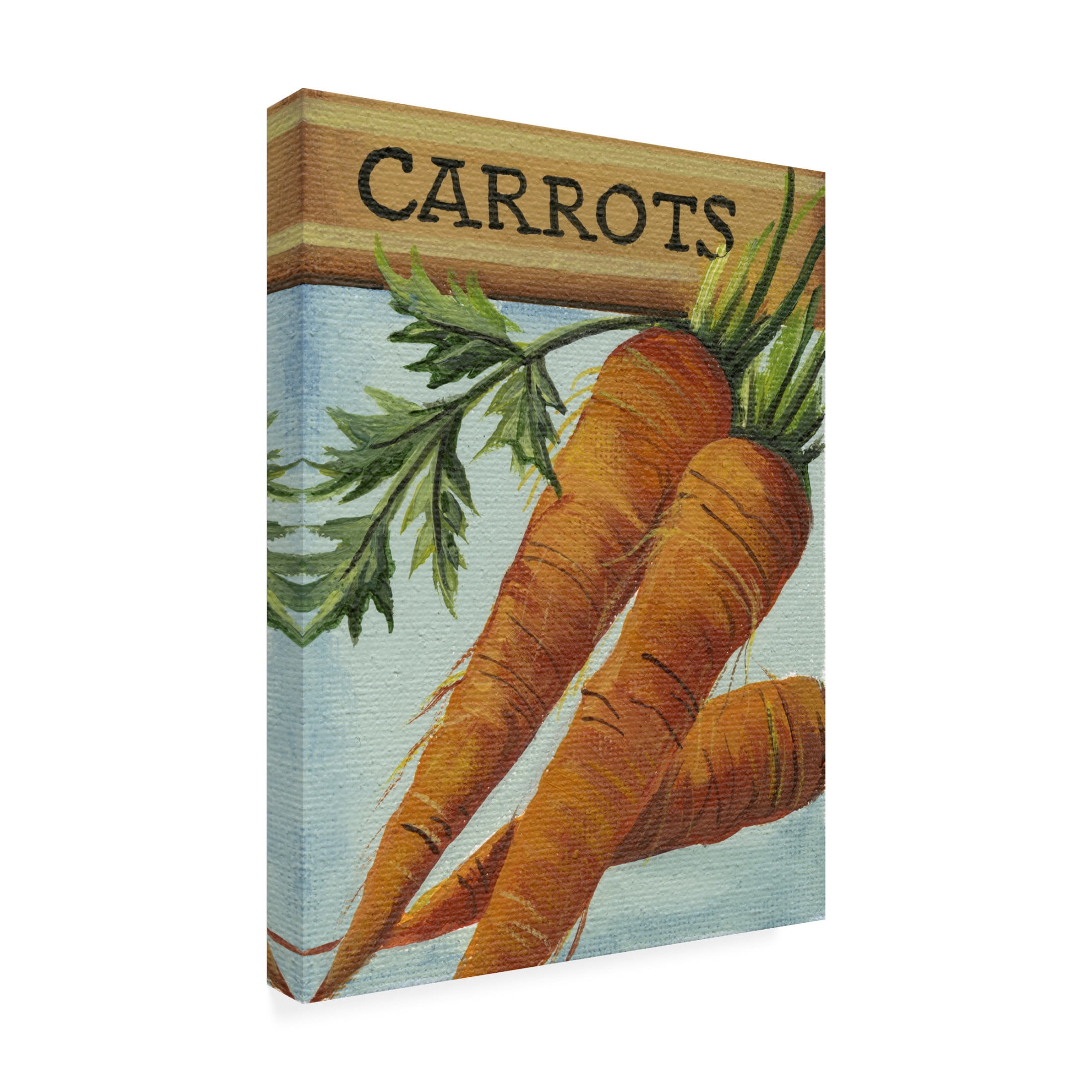 Canvas Wall Art - Debbi Wetzel 'Seed Packets 14 - Carrots' Wall Art for Living Room, Bedroom, or Office Décor by Trademark Fine Art - 35 x 47 Inches